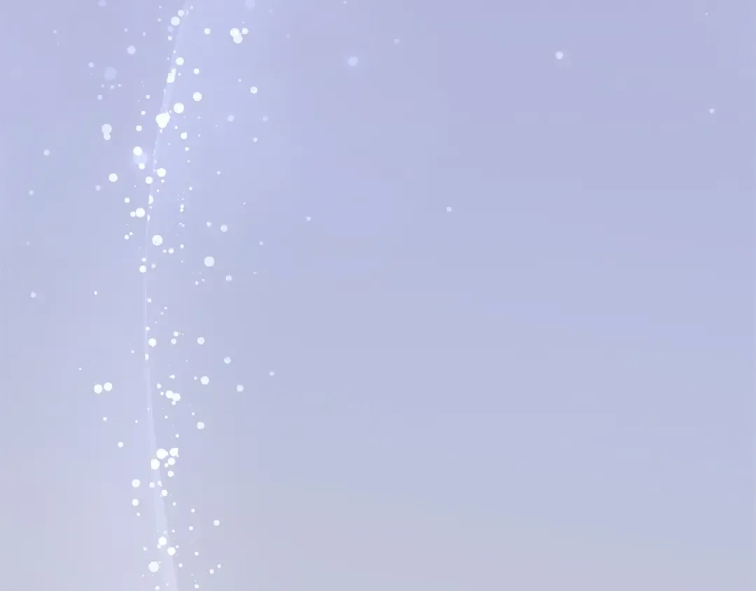 第369页