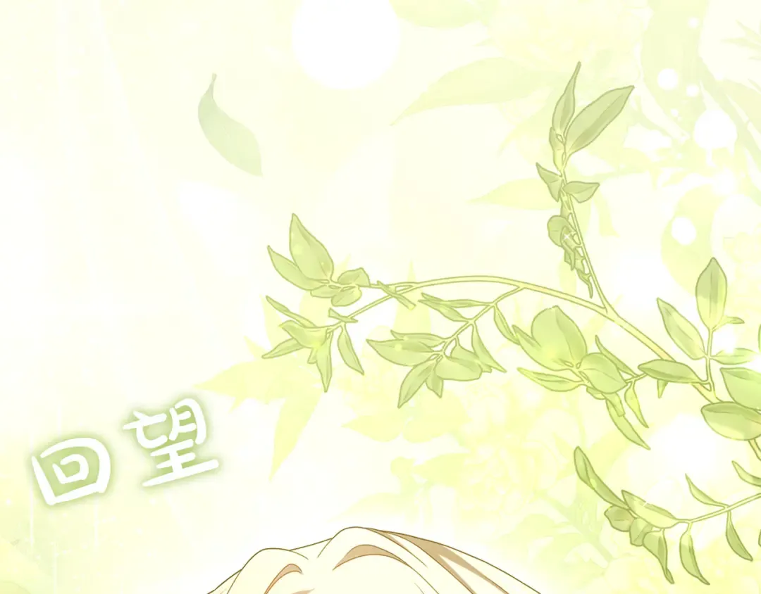 第264页