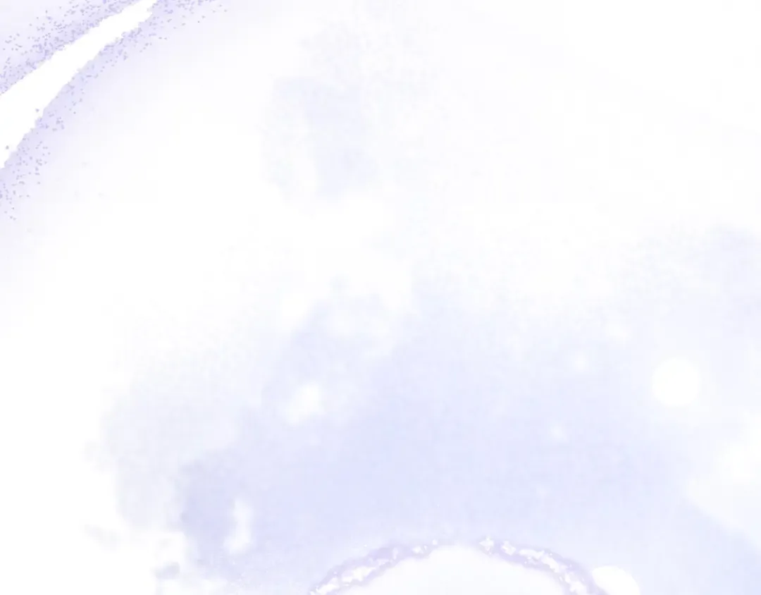 第462页
