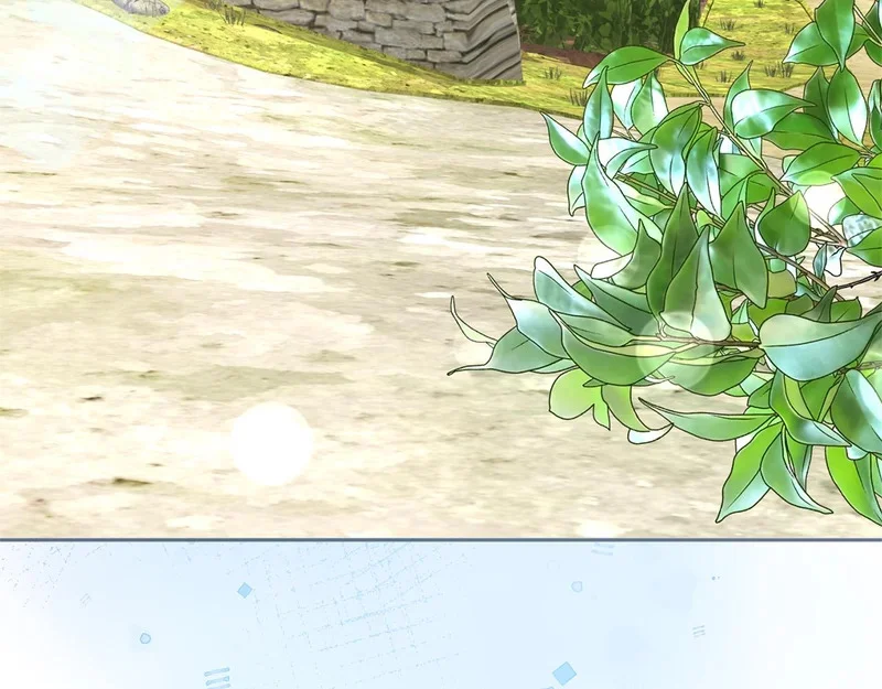 第243页