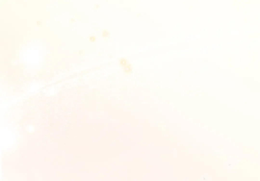 第855页