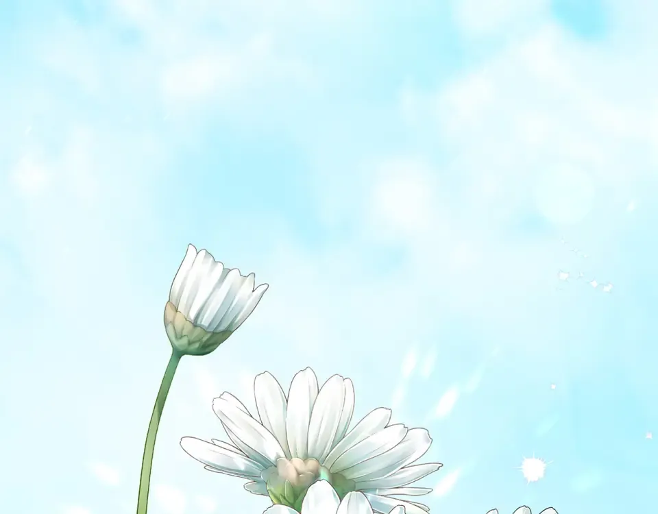 第555页