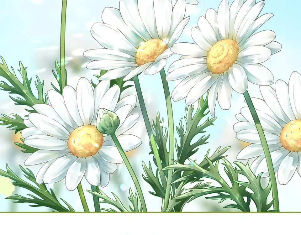 第558页