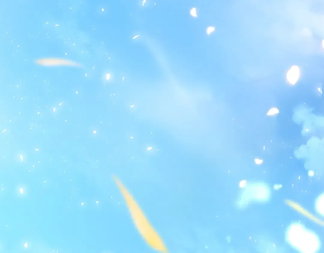 第258页