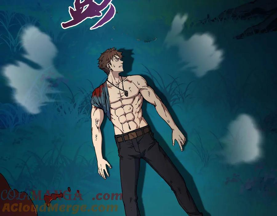 第204页