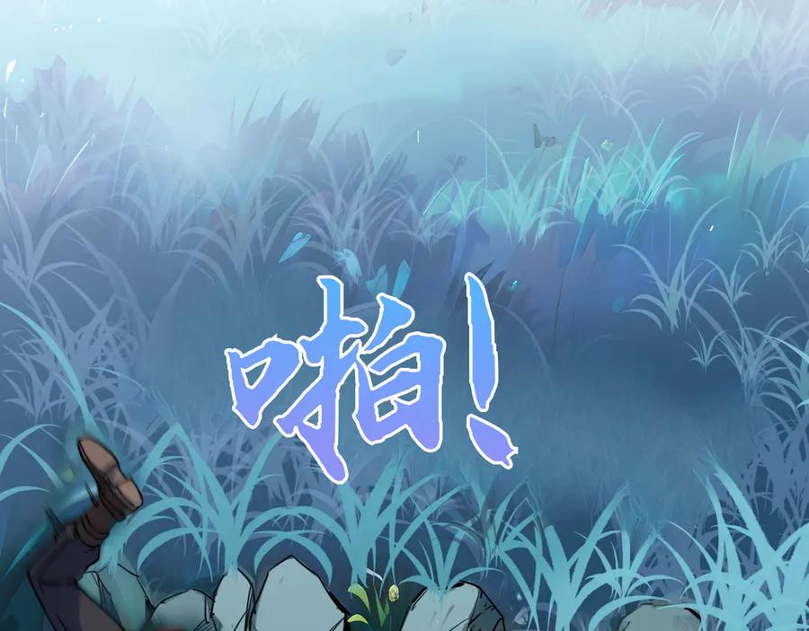 第255页