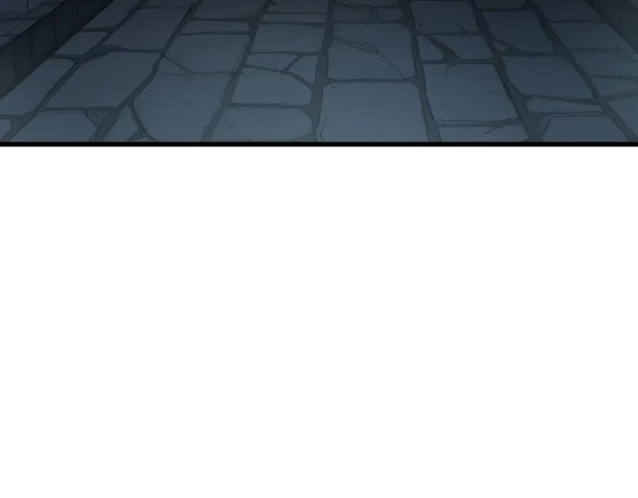 第234页