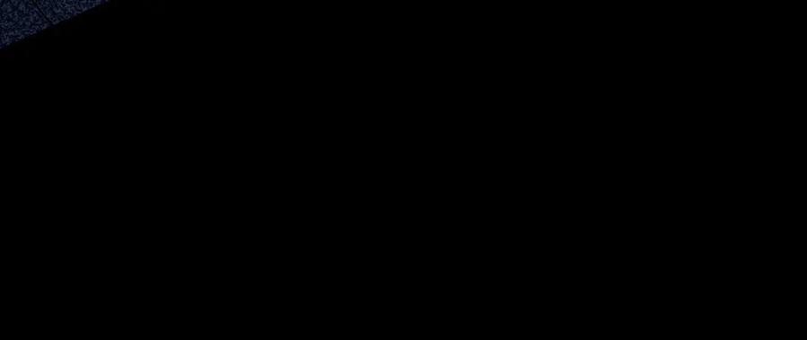 第510页