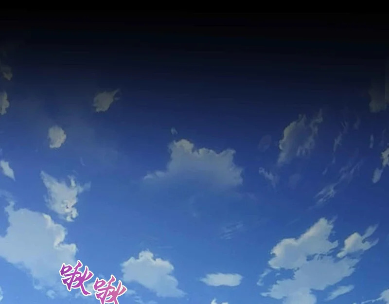 第213页
