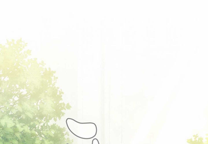 第258页