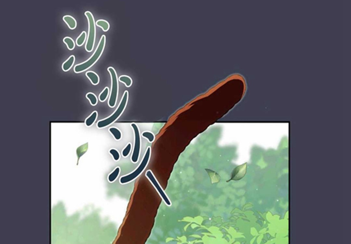 第558页