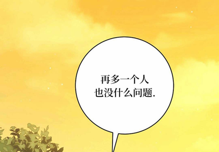 第336页