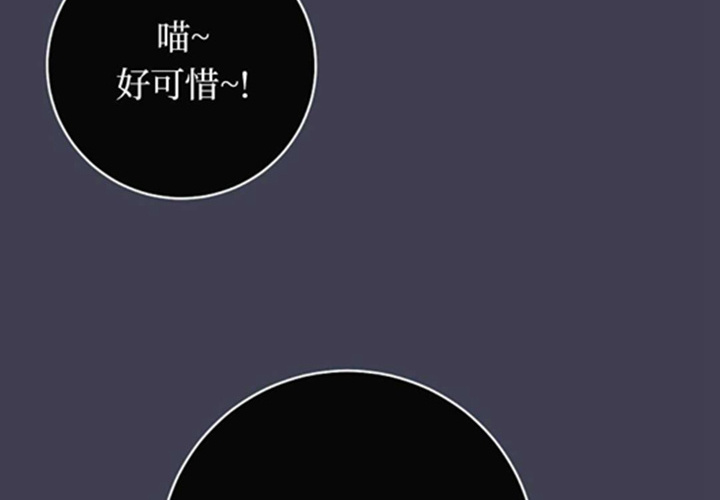 第246页