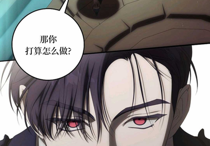 第486页