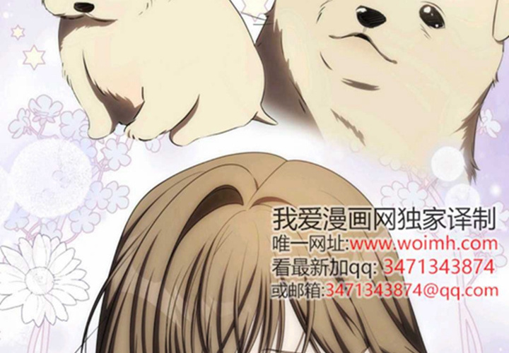 第381页