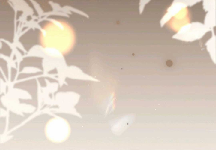 第729页