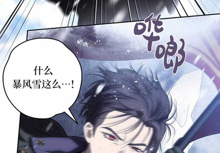 第528页