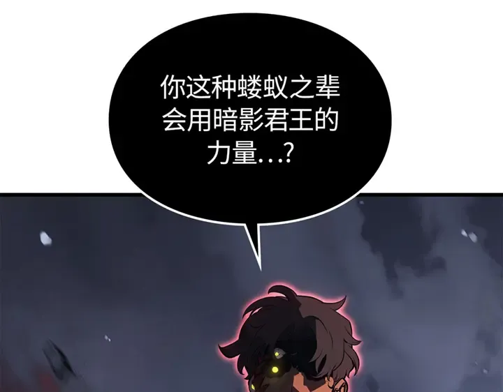 第219页