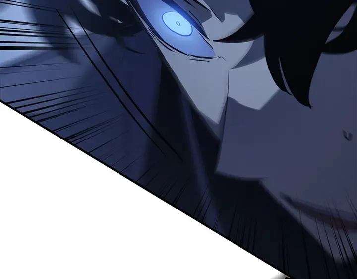 第231页