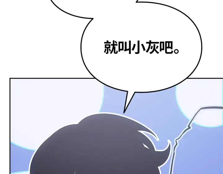 第258页
