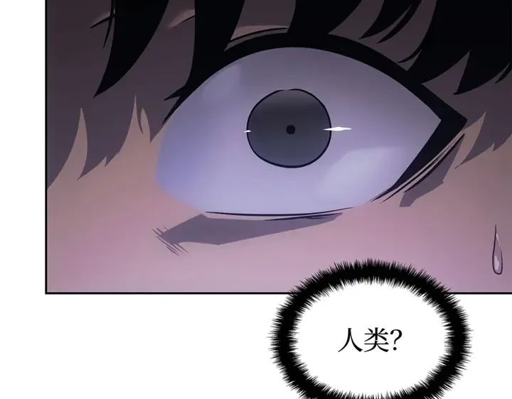 第510页