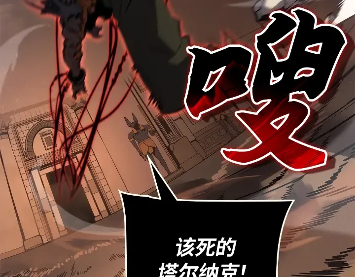 第243页