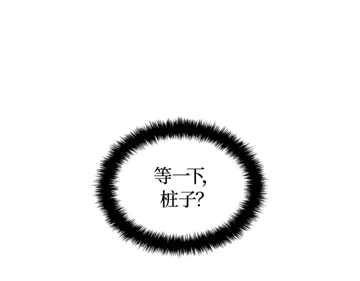 第495页