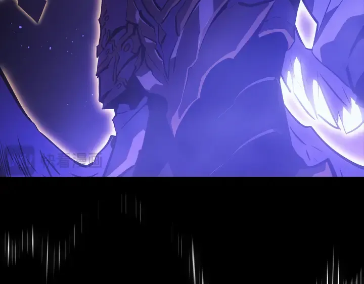 第255页