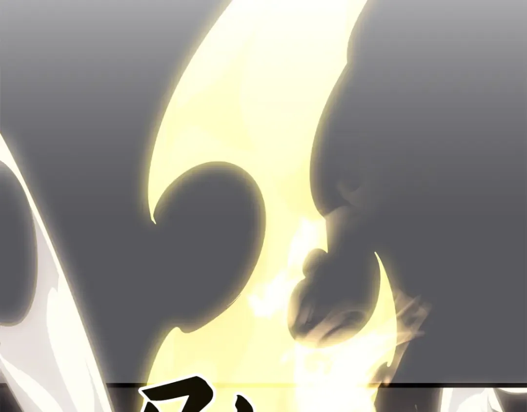 第558页