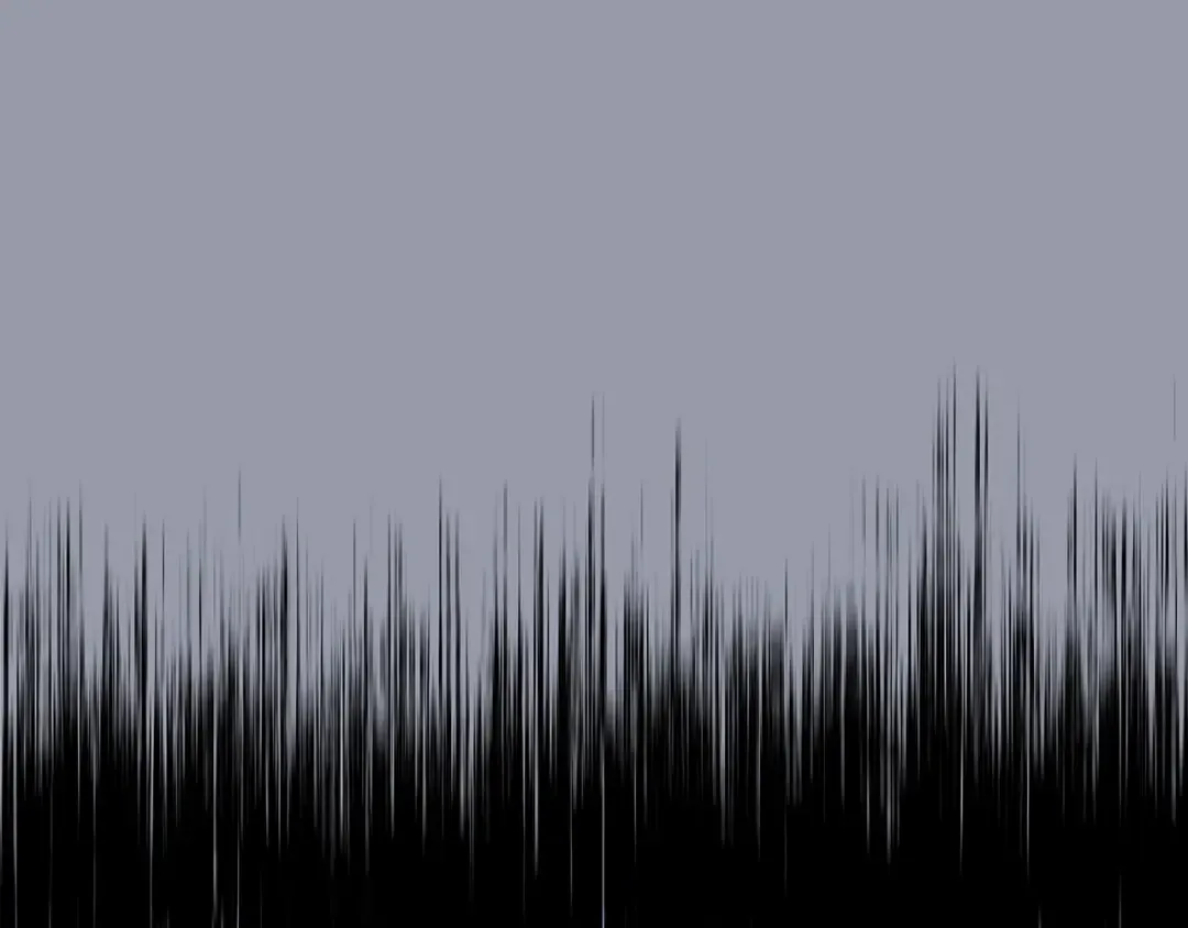 第219页