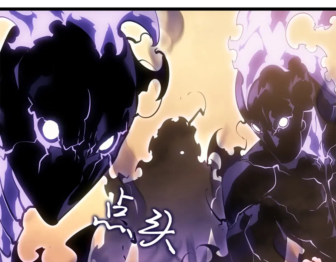 第315页
