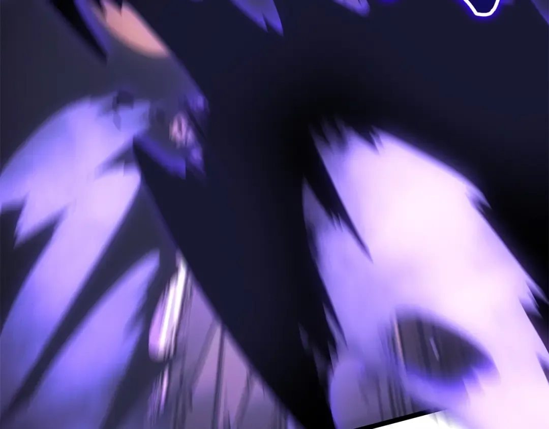 第204页