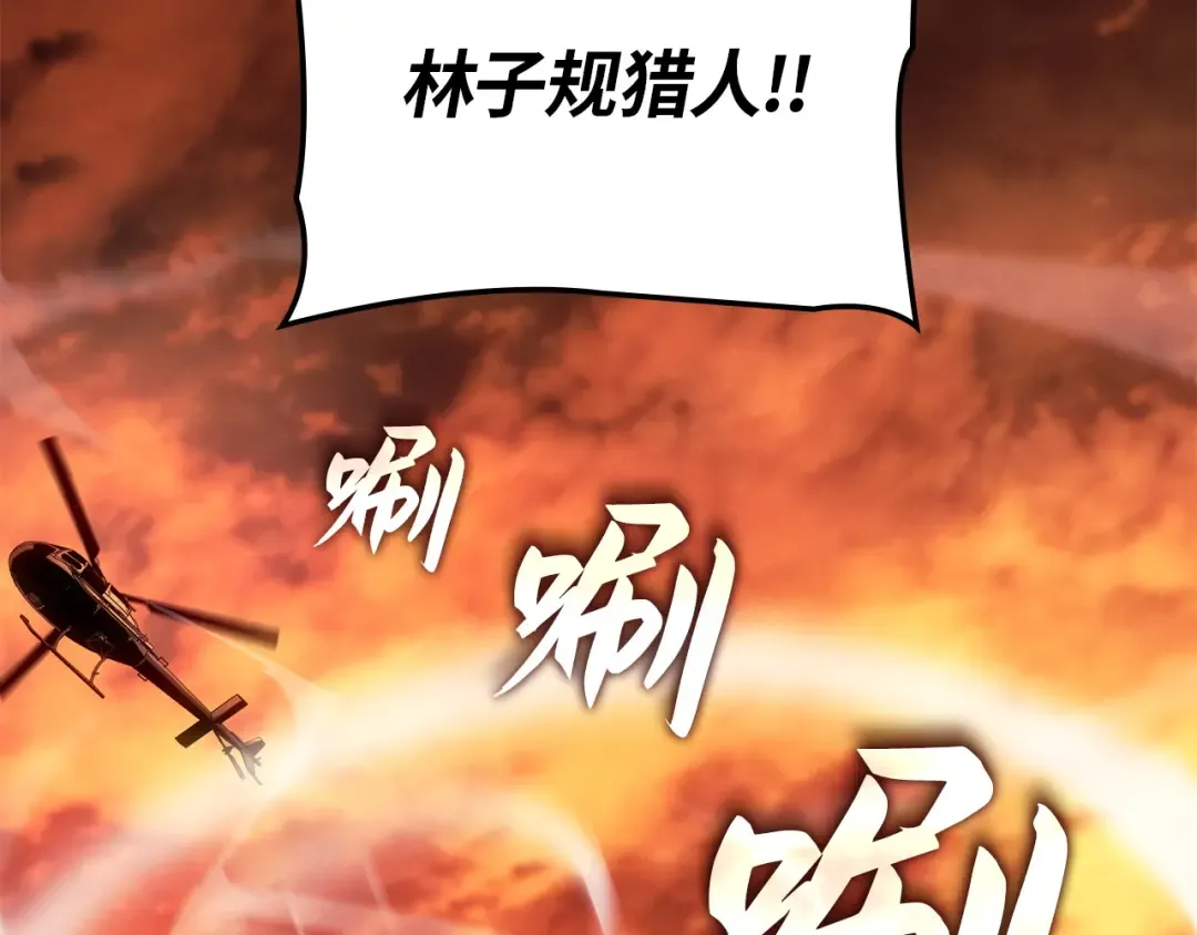 第294页