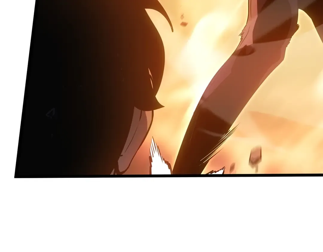 第516页