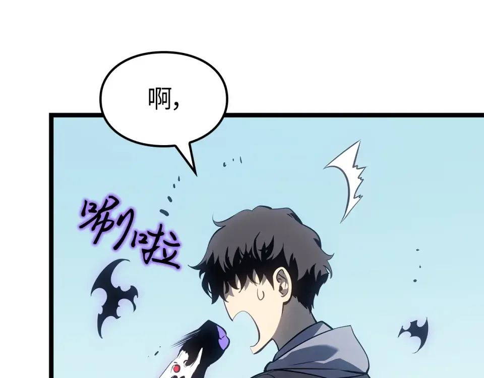 第207页