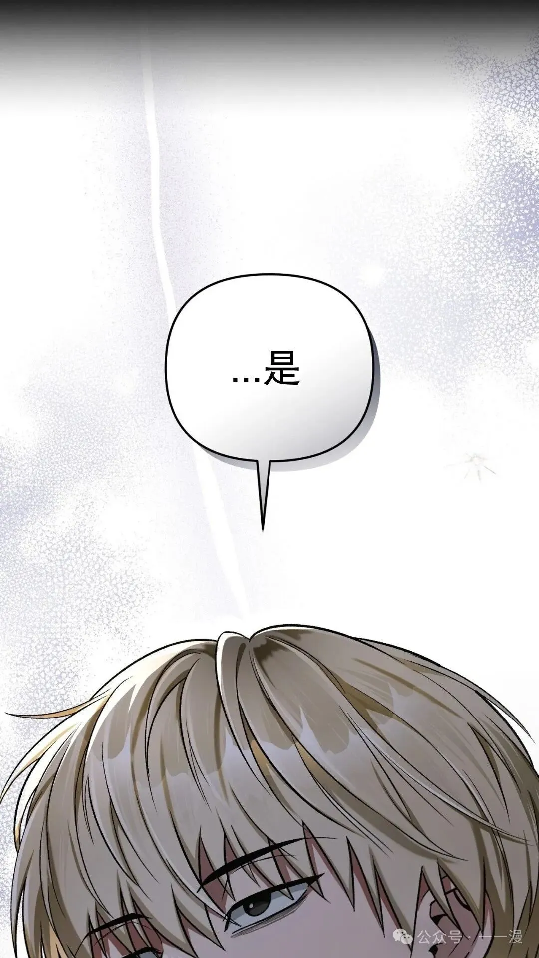 第333页