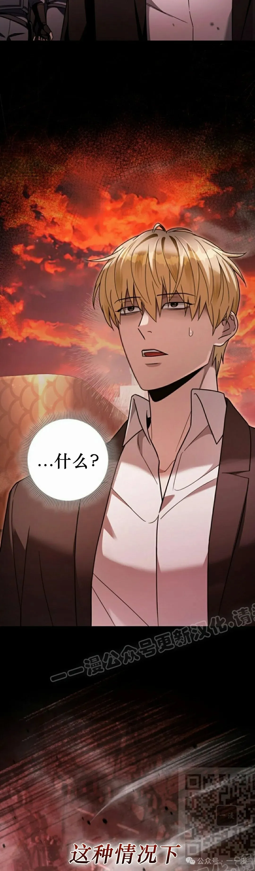 第204页