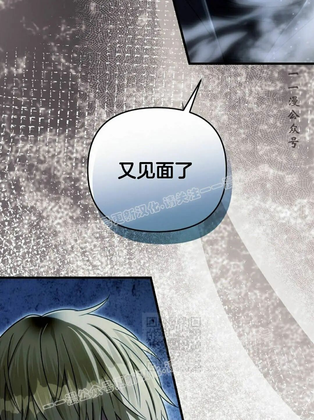 第231页