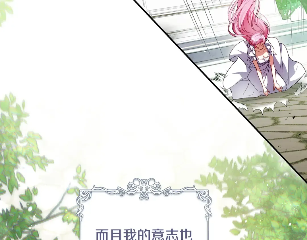 第339页
