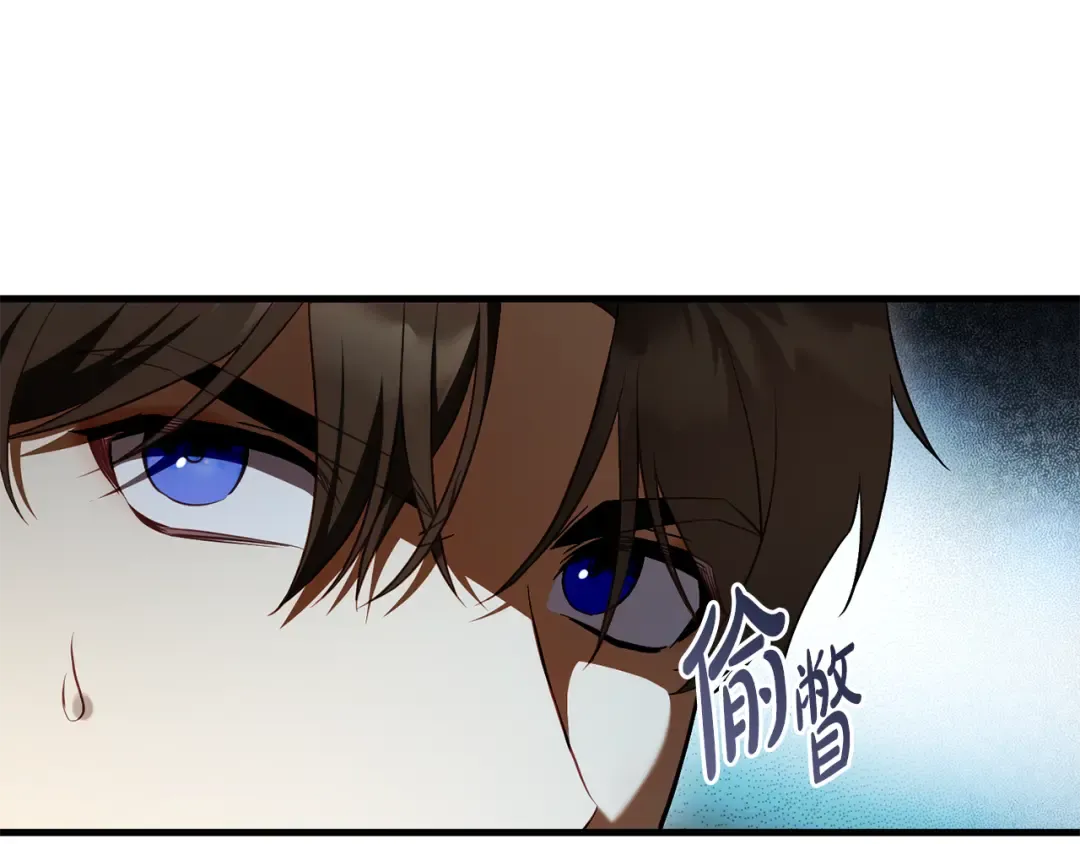 第279页