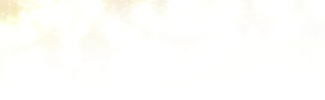 第537页