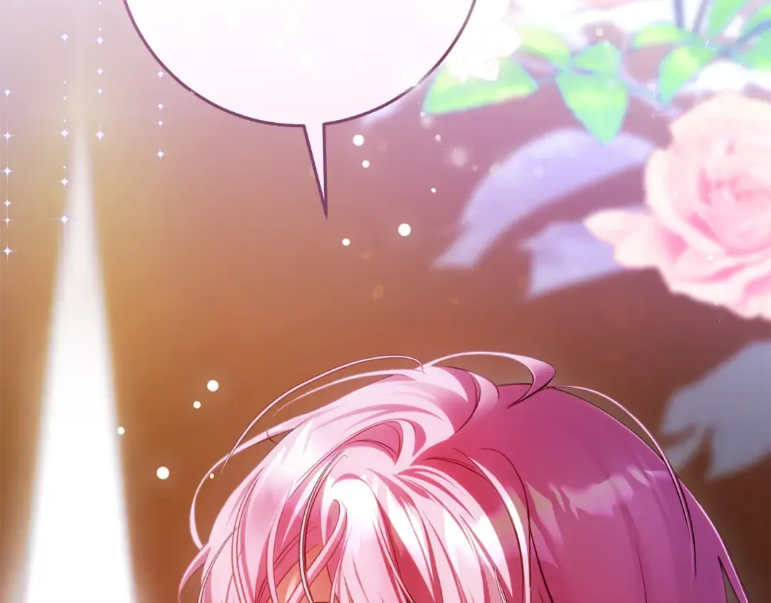 第519页