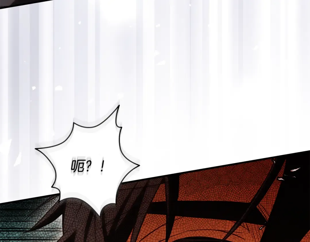 第594页