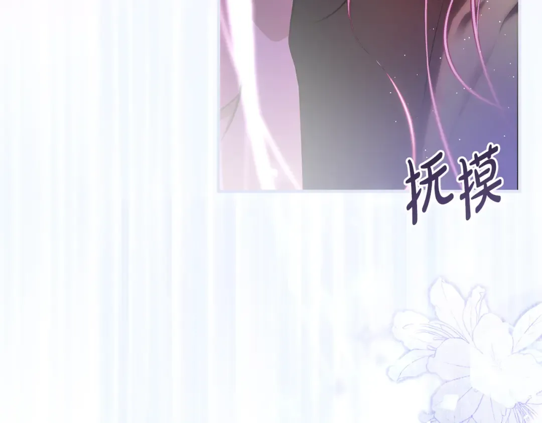 第564页