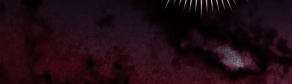 第429页