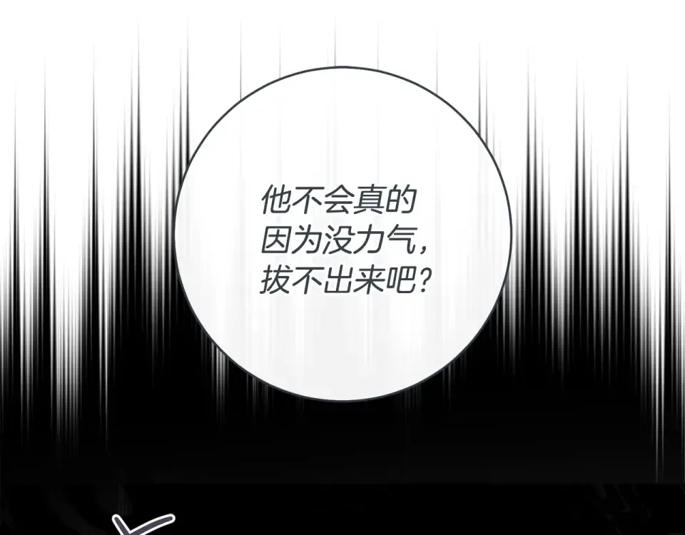 第558页