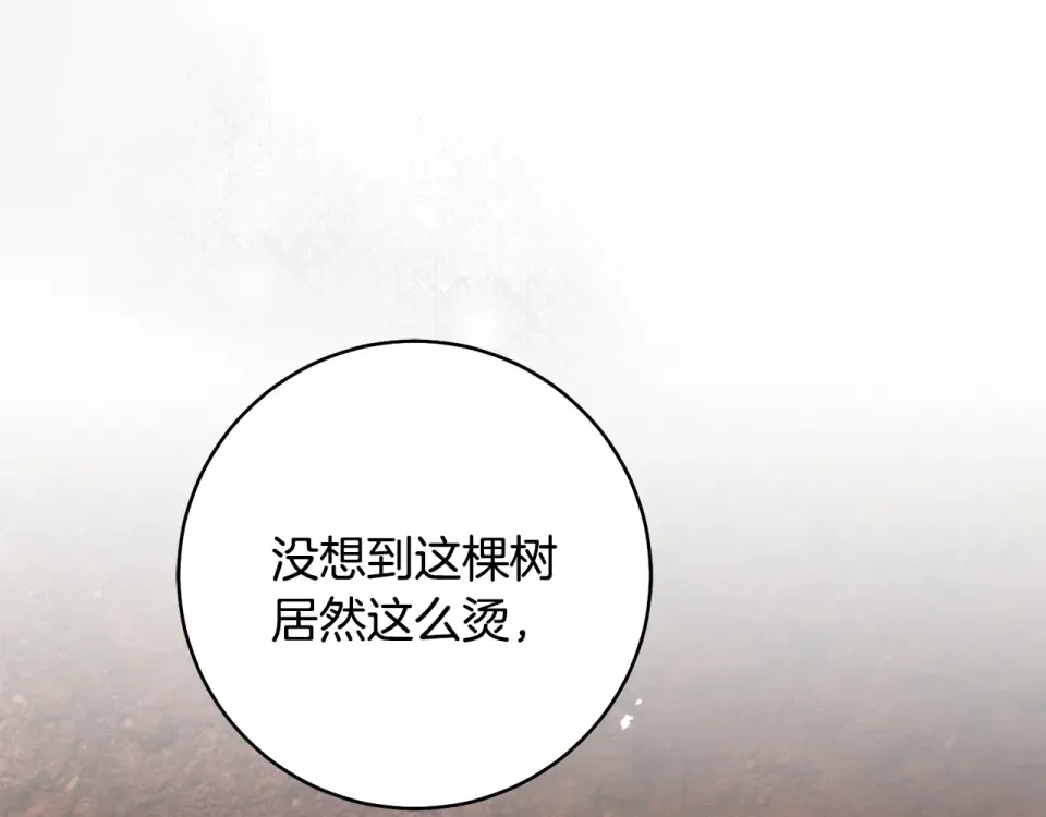 第480页