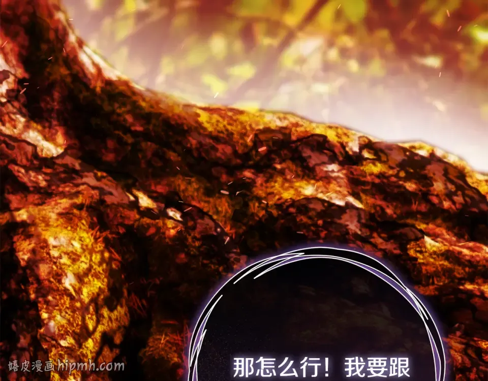 第333页