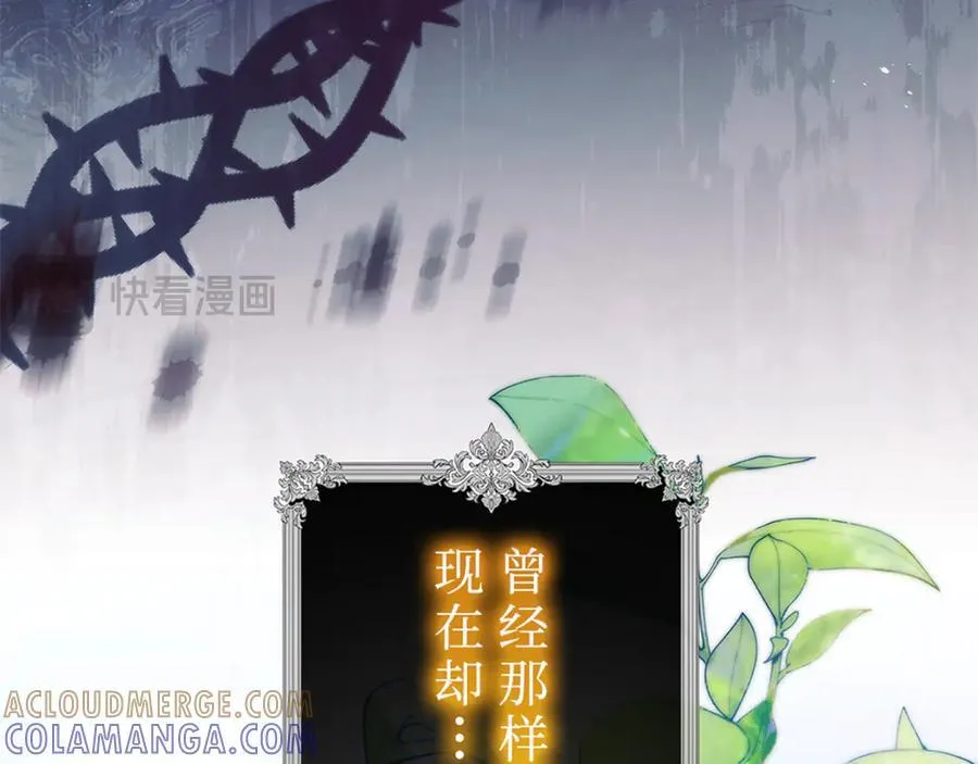 第240页