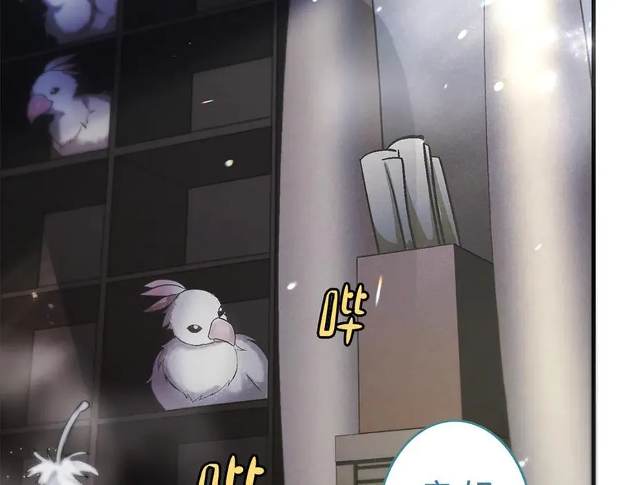 第249页